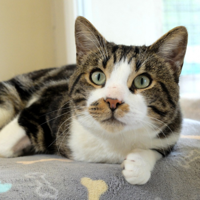 Photo de Psyche dit mutti