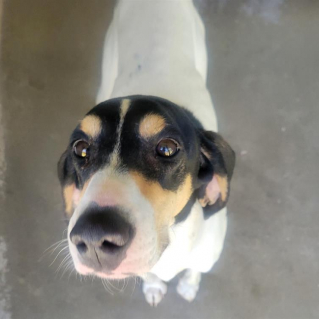 Photo de Georges alain