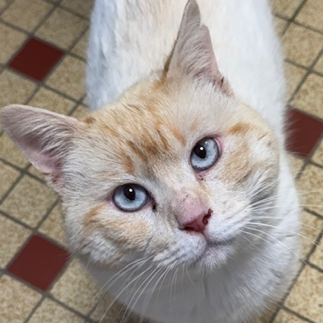 Photo de Tuttifrutti