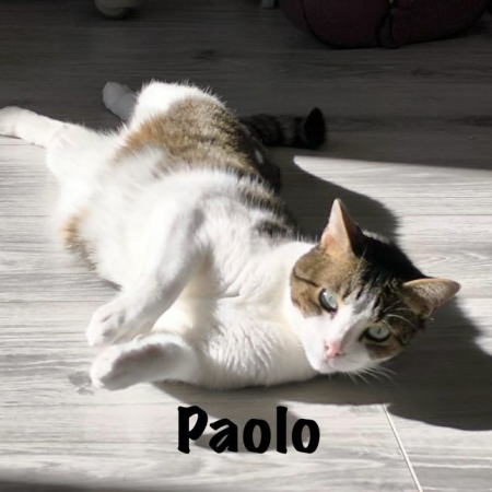 Photo de PAOLO