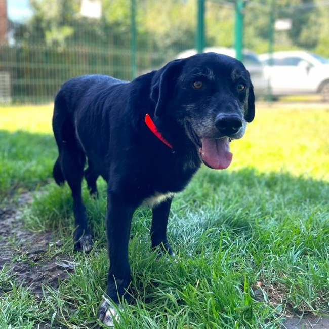 Photo de Citibule dit bouboule