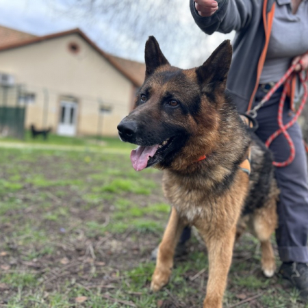 Photo de Rex