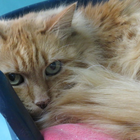 Photo de Cash