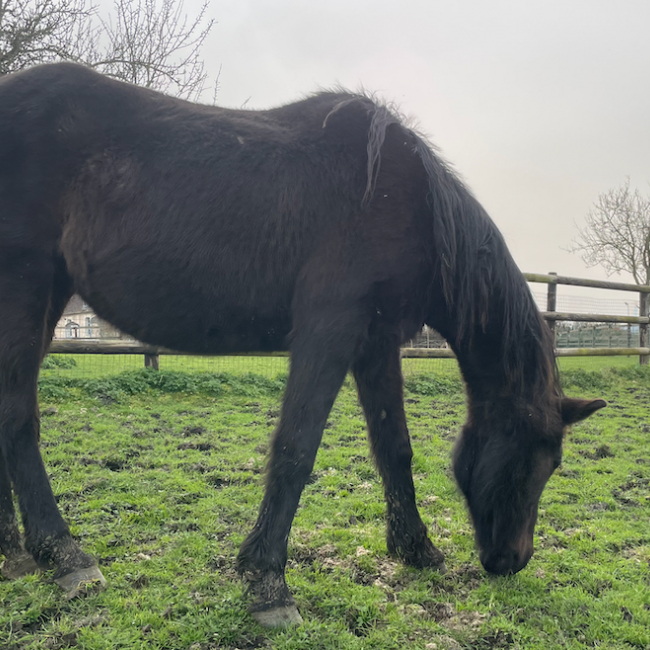 Photo de Mary d'ancoeur