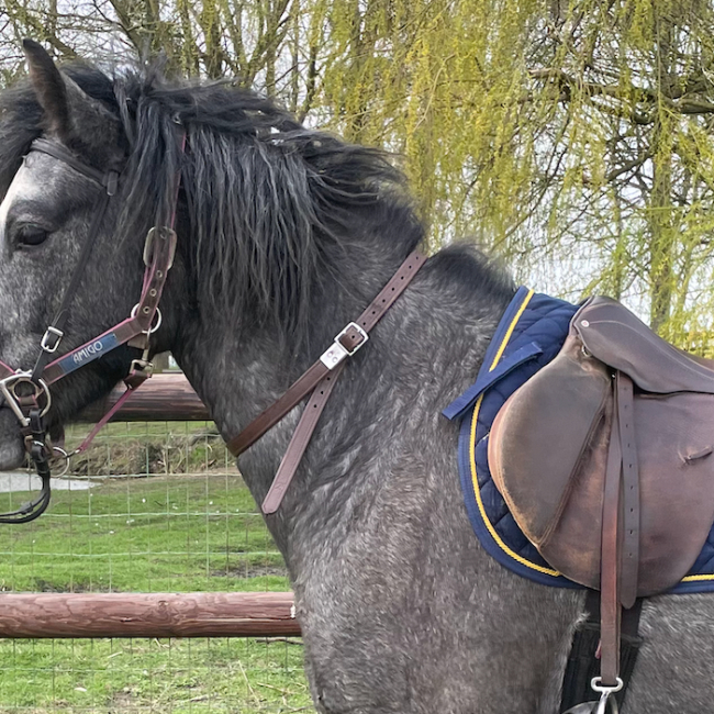Photo de Moulin rouge