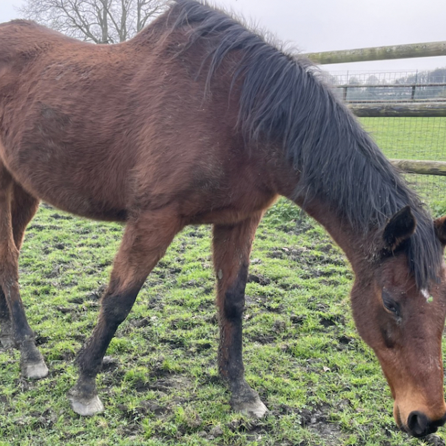 Photo de Patty dancer