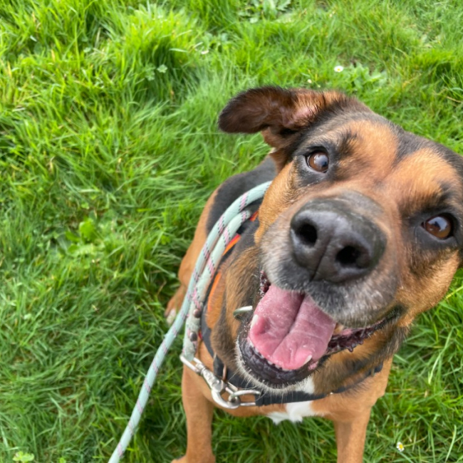 Photo de Oly promise