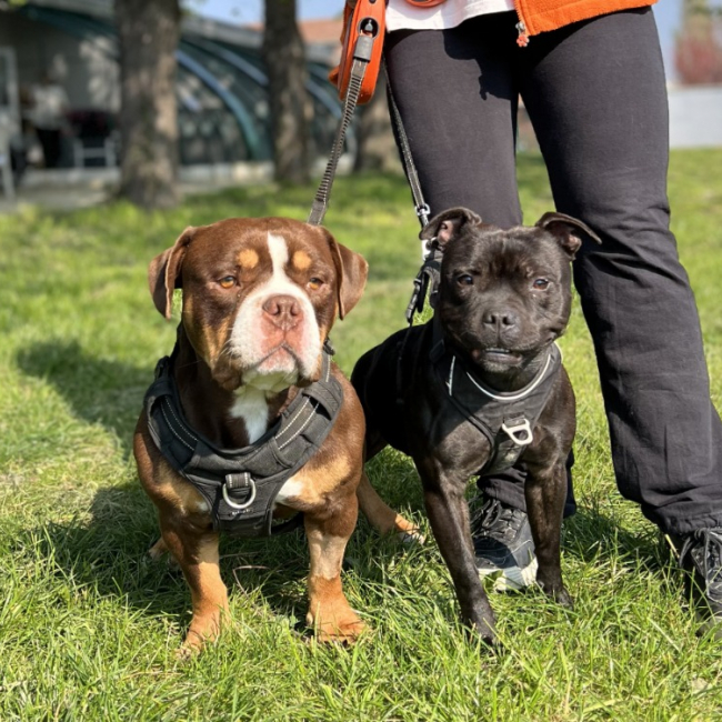 Photo de Vinny & choco