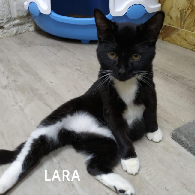 Photo de BOBY & LARA