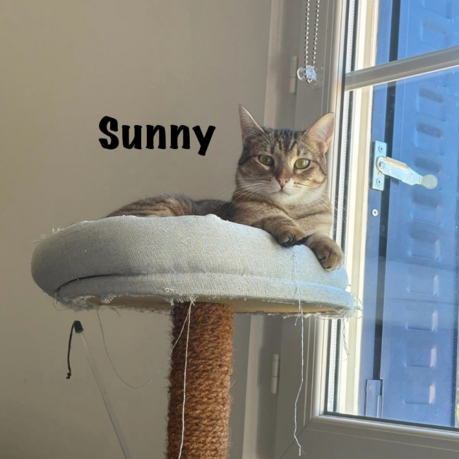 Photo de SUNNY