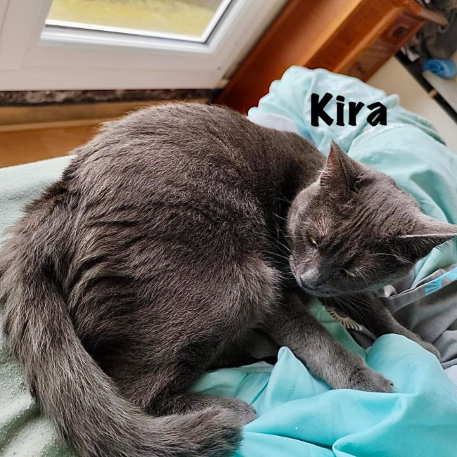 Photo de KIRA