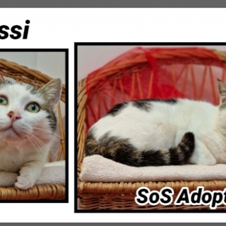 Photo de Wassy