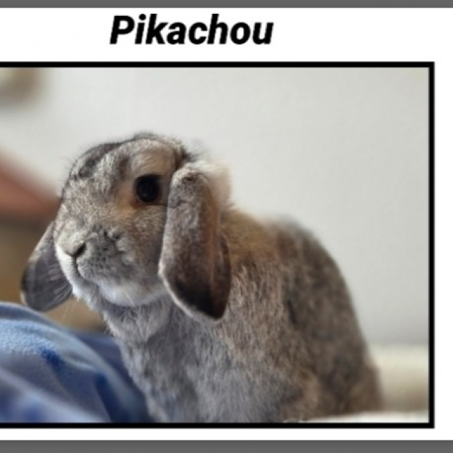 Pikachou