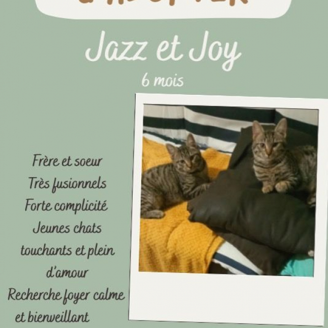 Joy et Jazz