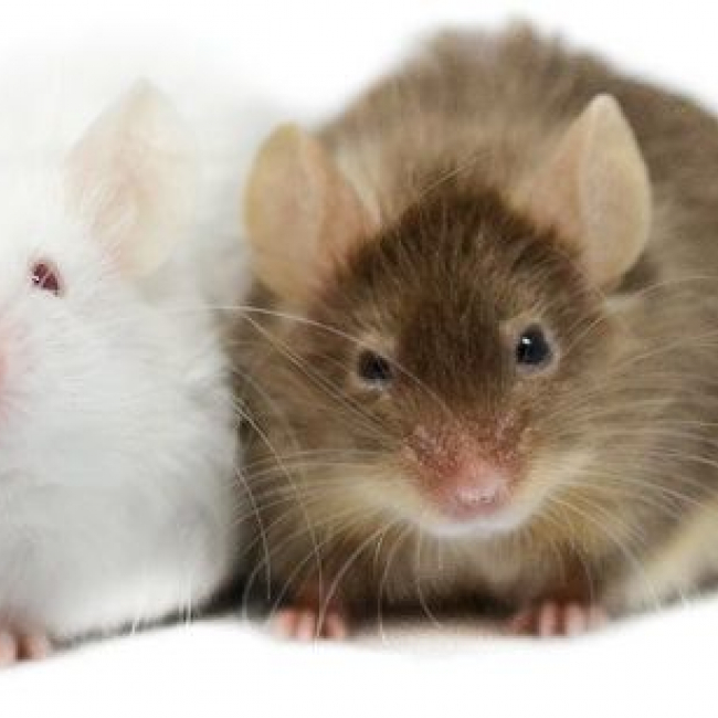 Photo de Blandine et Eulalie 