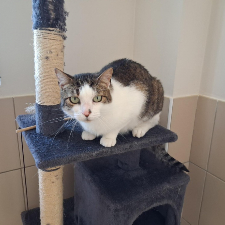 Photo de Neo
