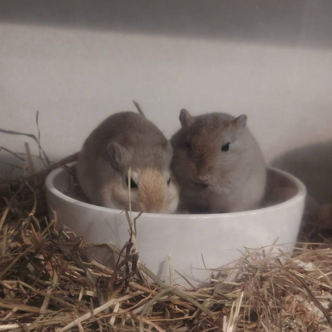 Photo de Ben et Nuts