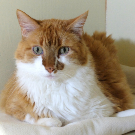 Photo de Bouba