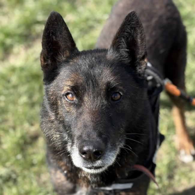 Photo de Morpheuss dit mack