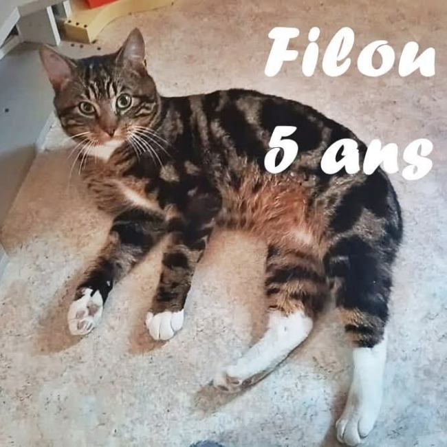 Photo de Filou