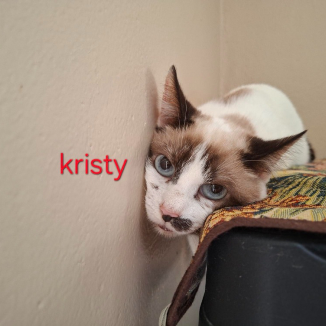 Kristy