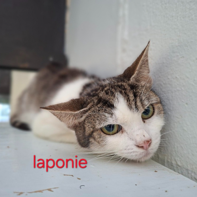 Laponie