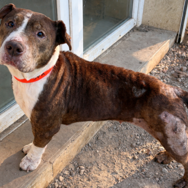 Photo de Ana ex nala