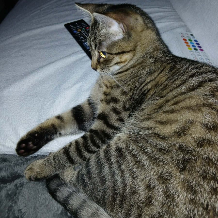 Photo de Axel