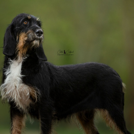 Photo de Tyka