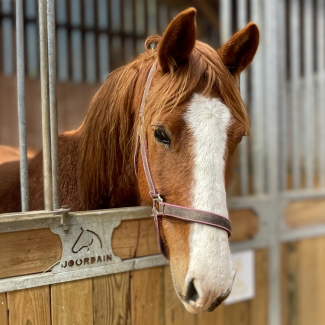 Photo de Hash boum bang