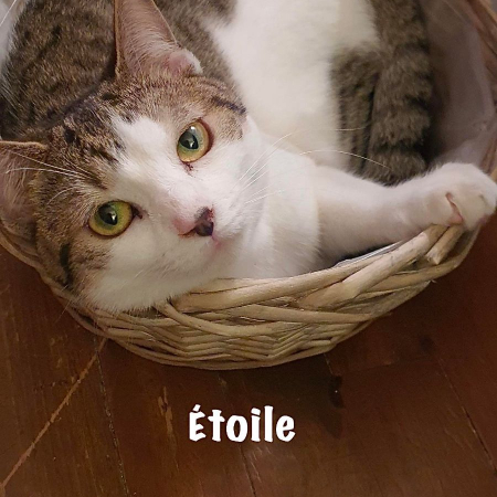 Photo de ETOILE