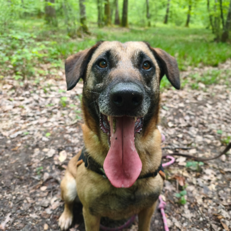 Photo de Django