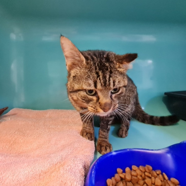 Photo de Espoir promis