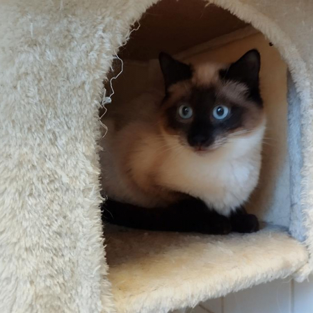 Photo de Mino