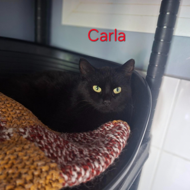 Carla