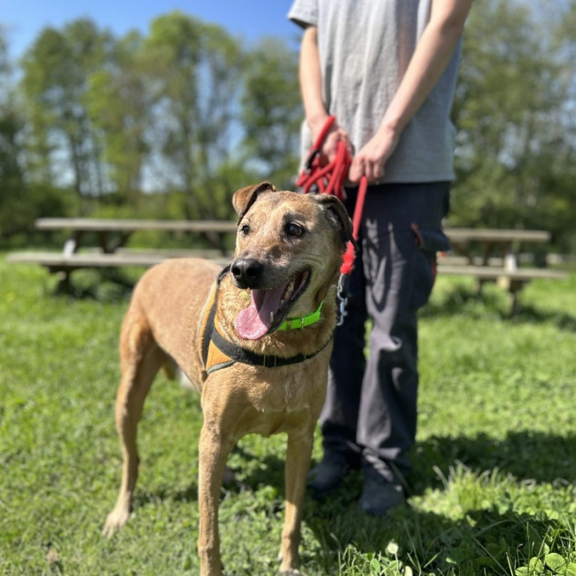 Photo de Pepper clayton