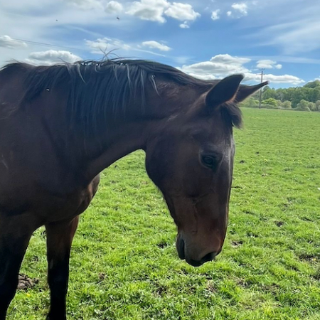 Photo de Montecristo