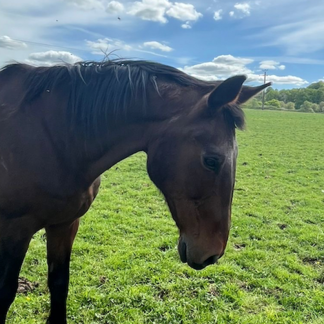 Photo de Montecristo