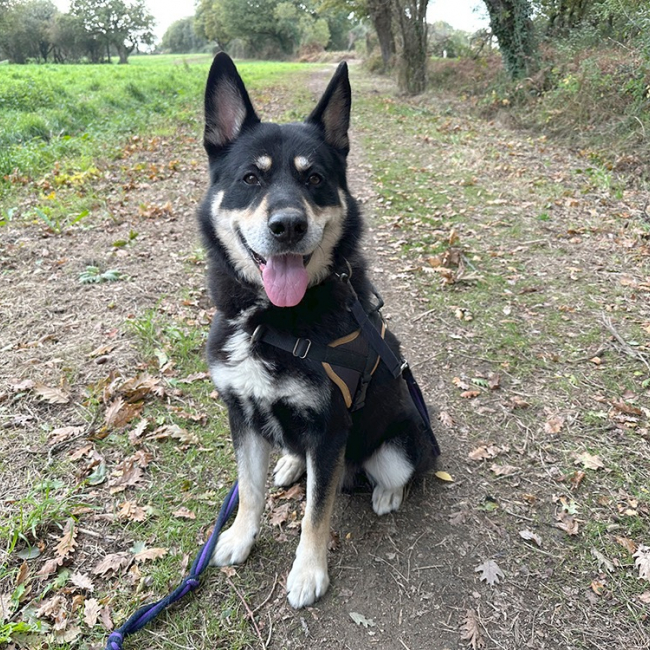 Photo de Django