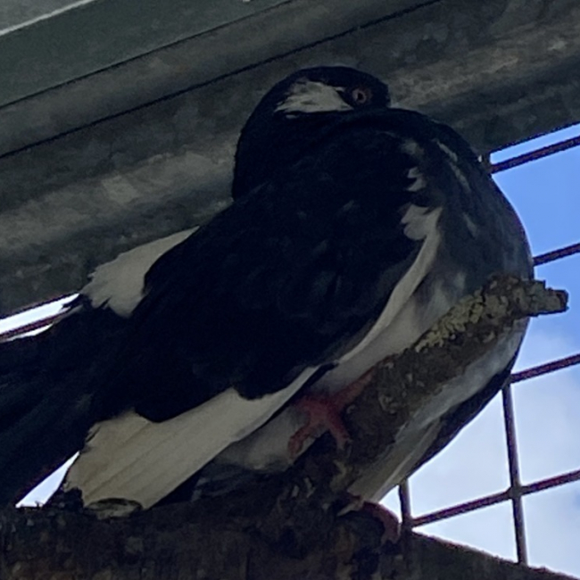 Photo de Etourmi qnac