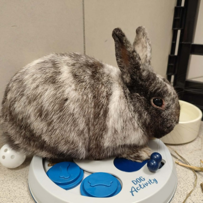 Photo de Laporeille qnac