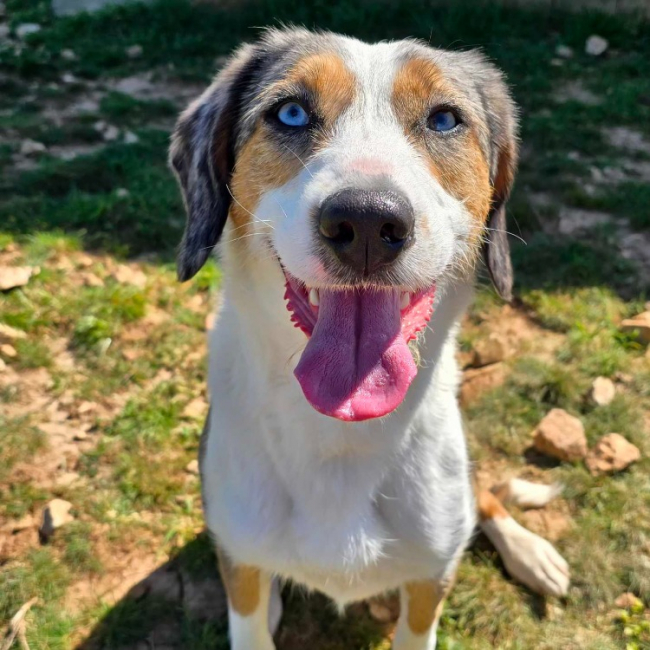 Photo de Lucy réservé