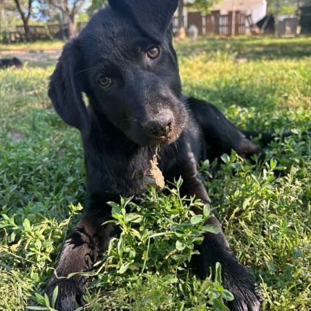 Photo de Anca