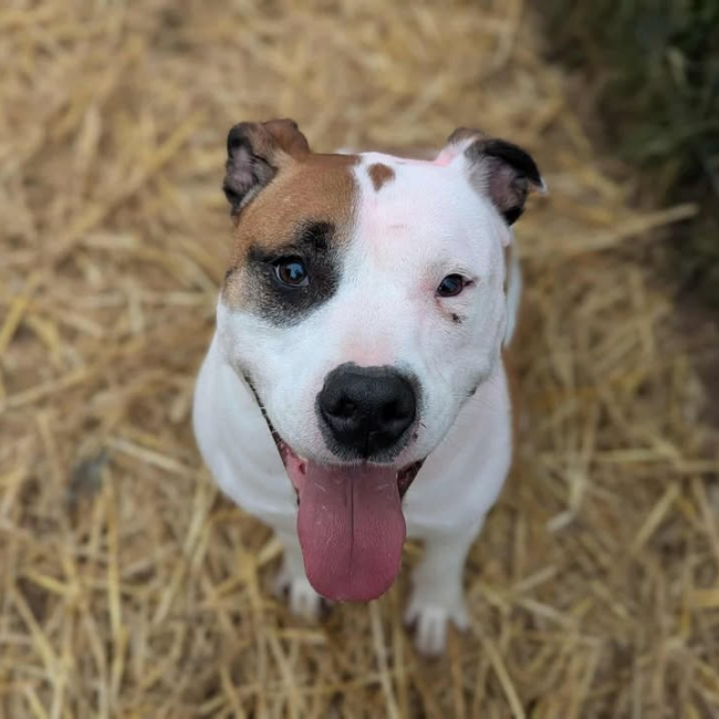 Photo de Laiko