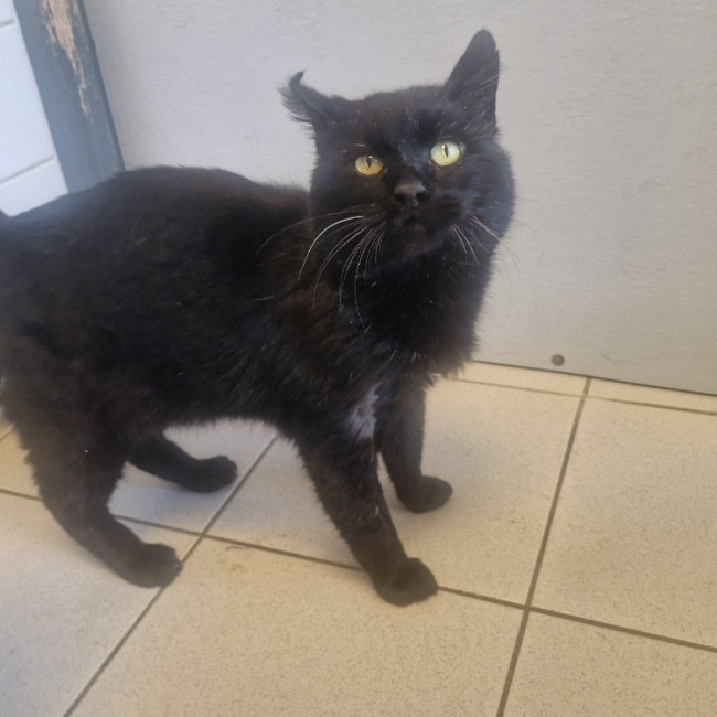 Photo de Radoudouille