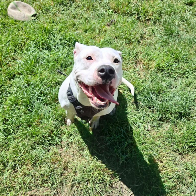 Photo de Athena