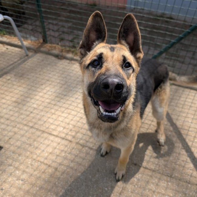 Photo de Rainbow