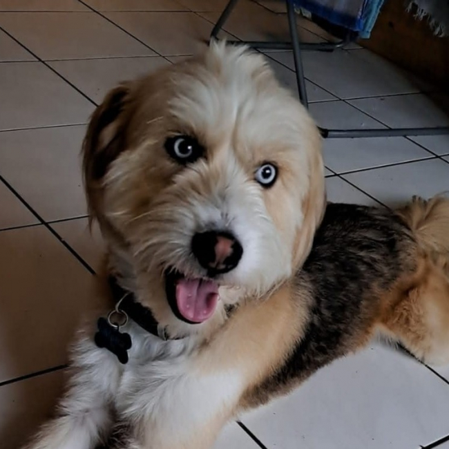 Photo de Alpha