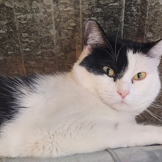 Photo de Myo