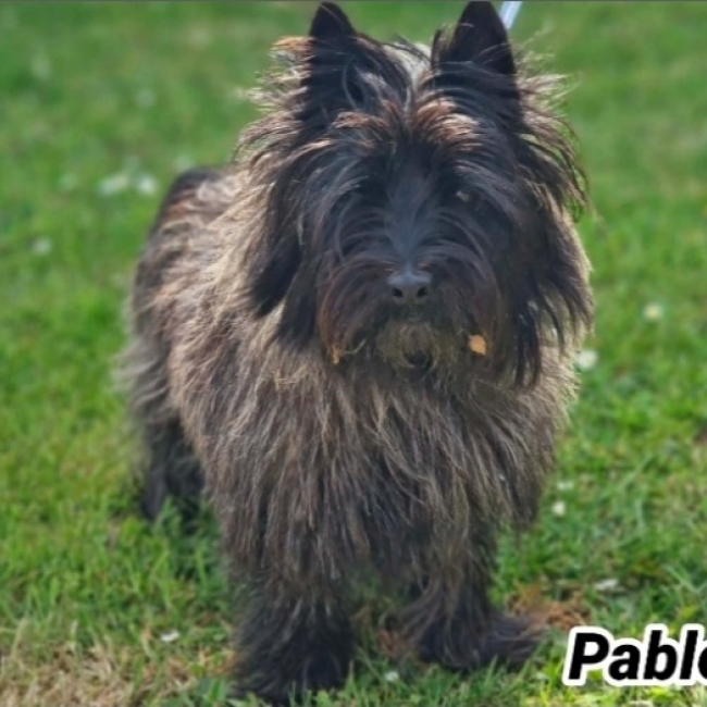 Photo de Pablo